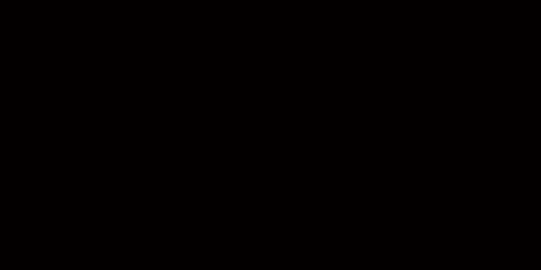 #030000