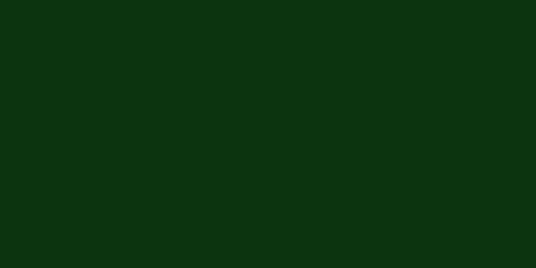 #0e340f