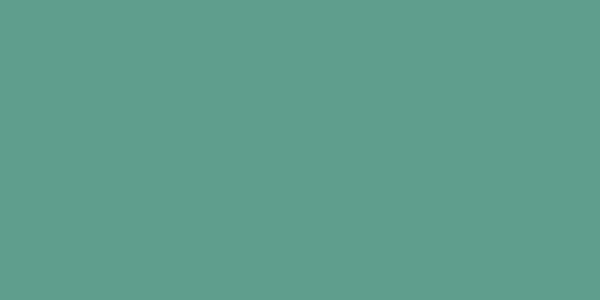 #5f9e8c